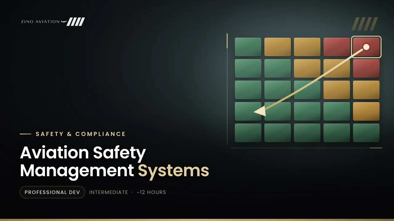 Aviation Safety Management Systems (SMS) course artwork